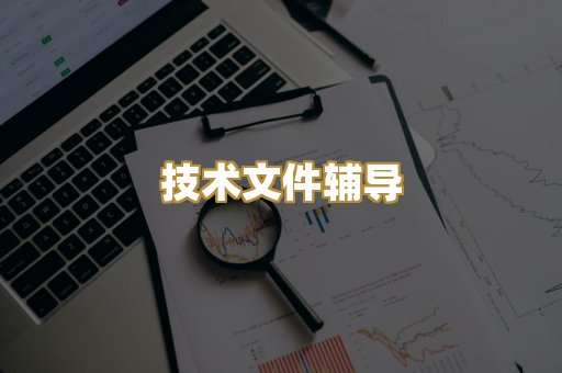 技术文件辅导